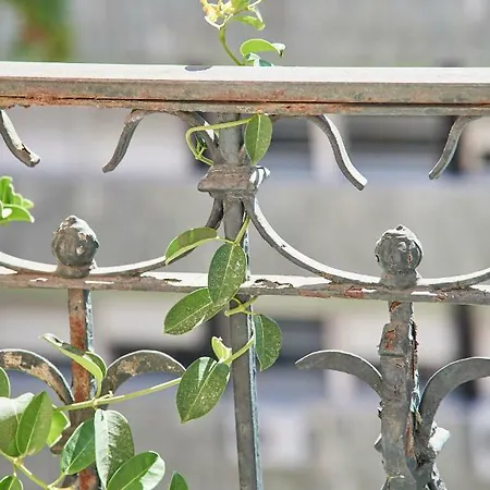 Daire Charming Marques *