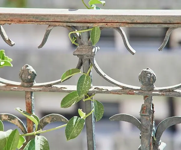 Appartement Charming Marques *